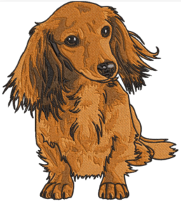 Long-Haired Dachshund Embroidery